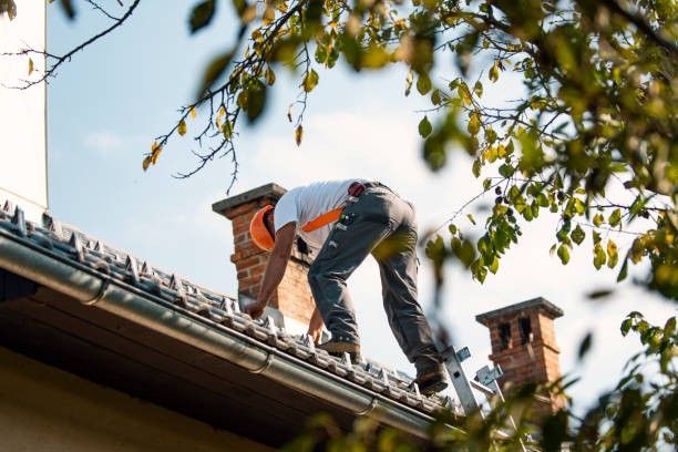 Best Shingle Roofing Installation  in Ridgeway, VA
